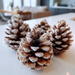 Close-up of four snow-flocked pinecones arranged on a white surface, showcasing their frosted tips.