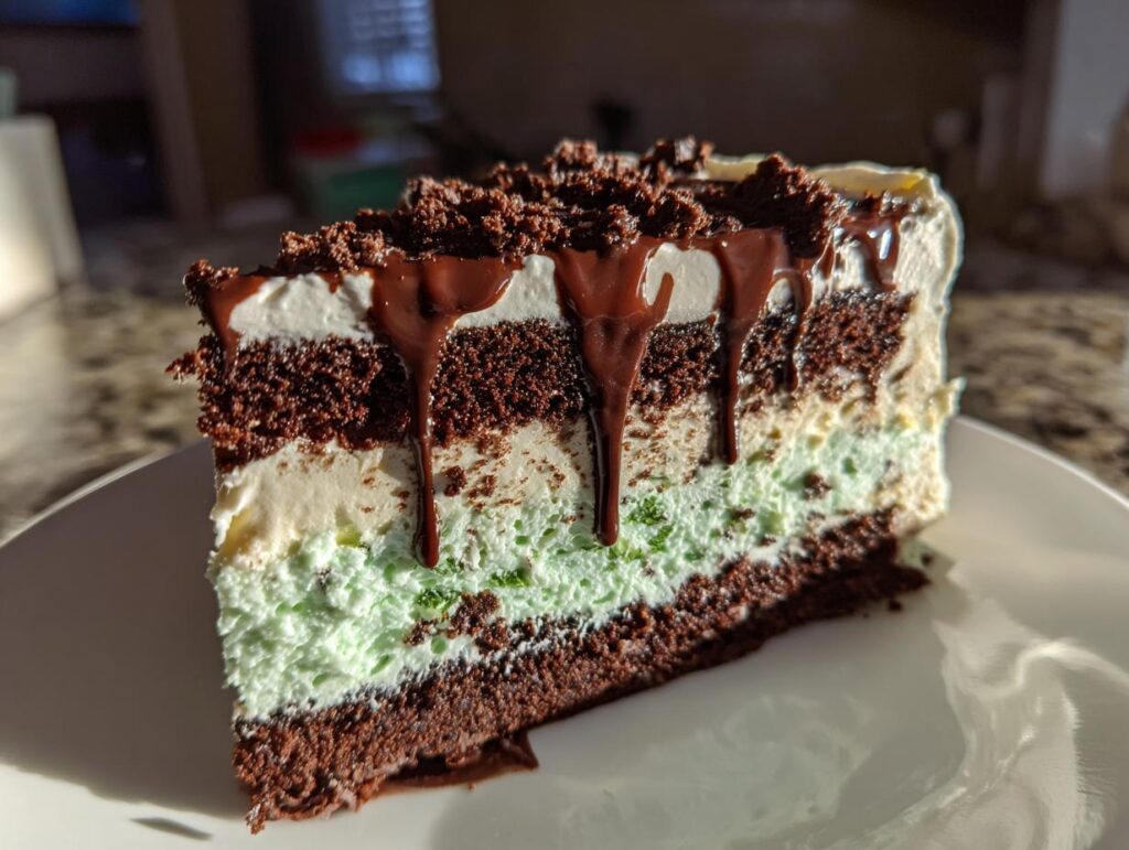 A slice of delicious Mint Chocolate Chip Ice Cream Cake with chocolate drizzle.