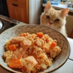 A curious cat looking at a bowl of fresh fish cat bowl with salmon and carrots.