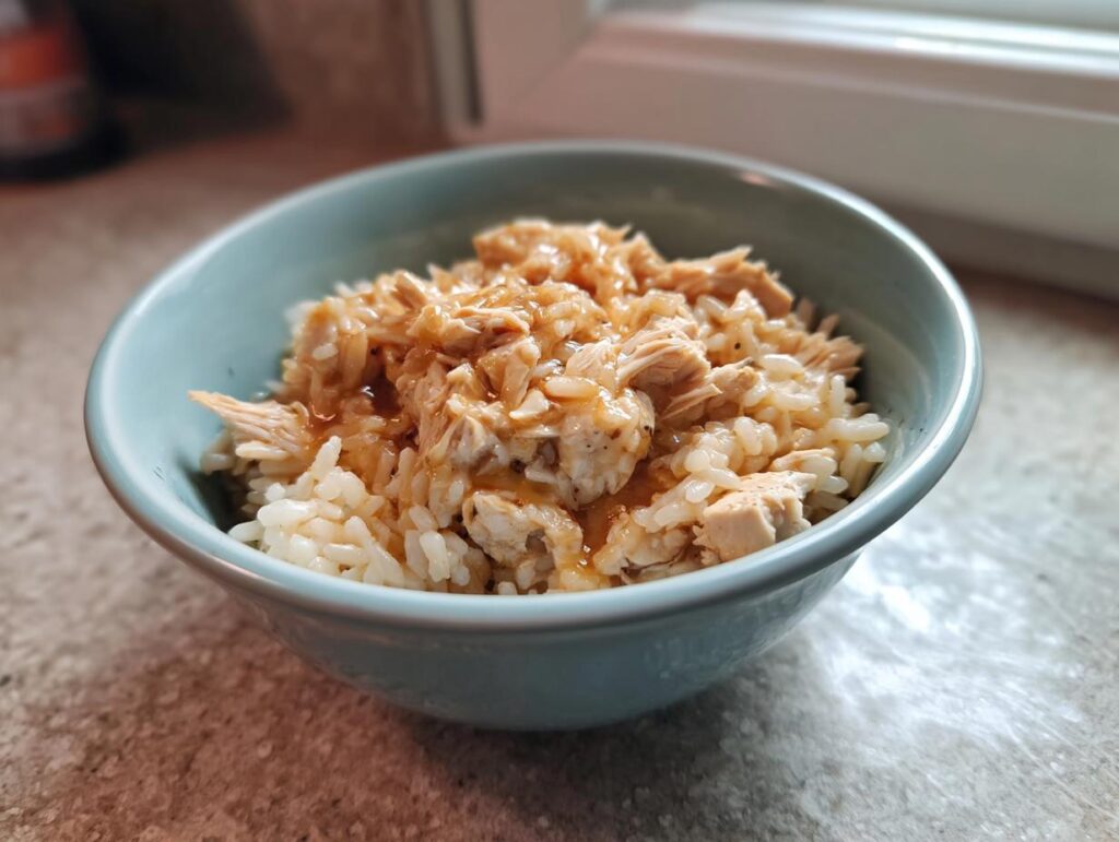 A bowl of high-calorie cat recovery meal, with rice and chicken.