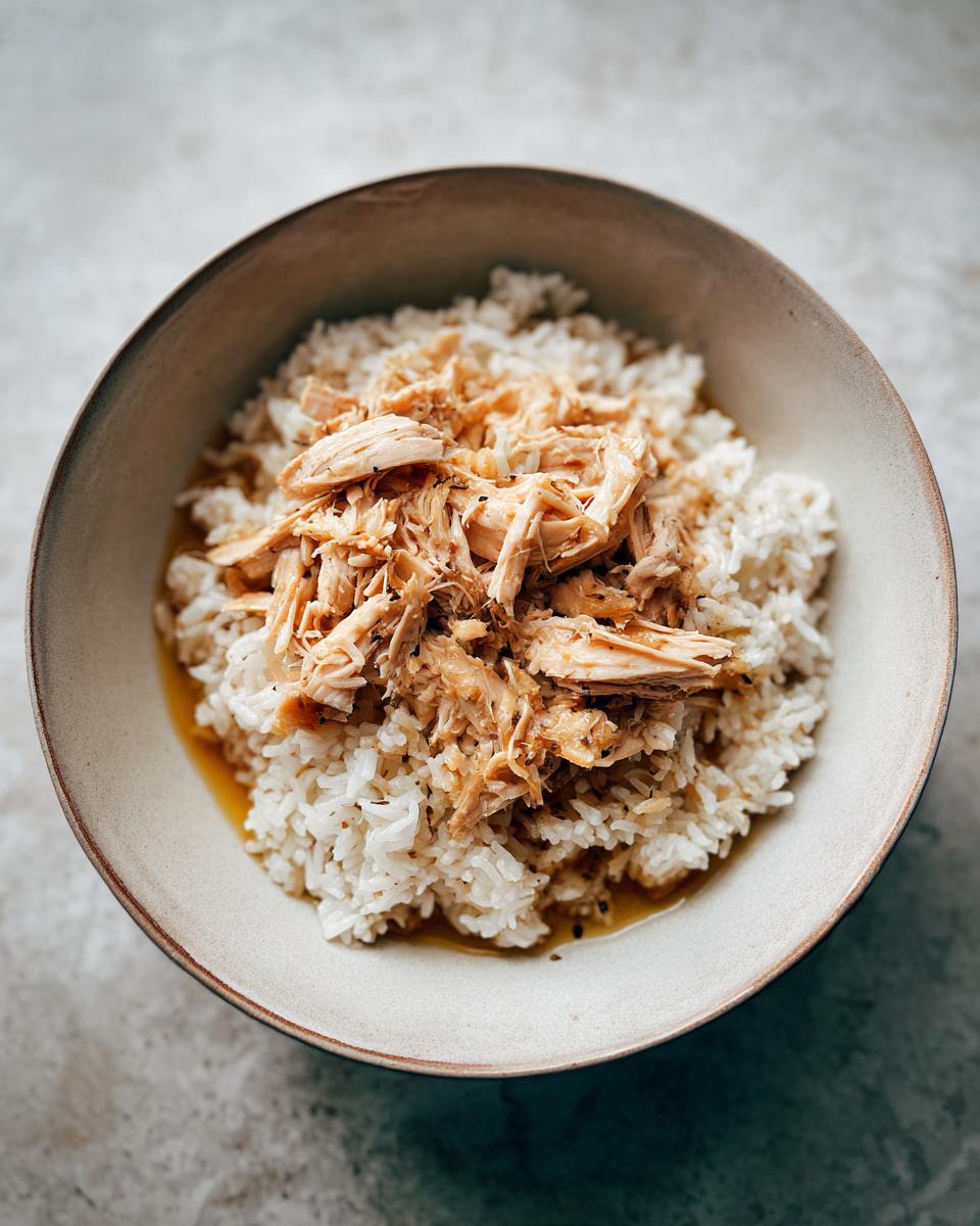 A bowl of High-Calorie Cat Recovery Meal, including rice and shredded chicken.